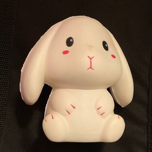 Bunny squishy